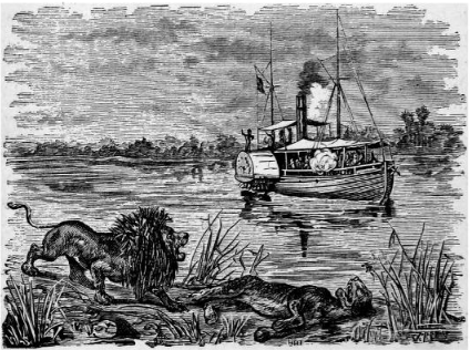 ilustracion-caza-leon-1875