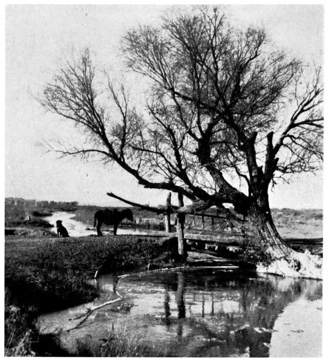 Puente en las cercanias de Anxi, noviembre 1934