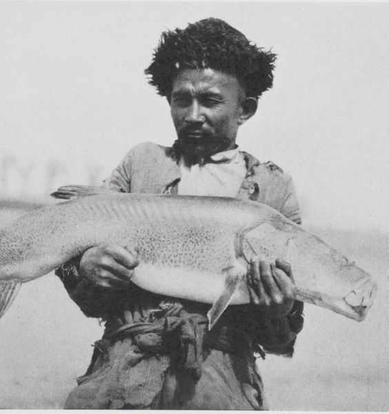 fotografia-lopliko-con-carpa-del-tarim-1934